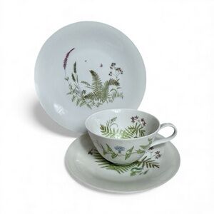 Vintage H&C Bavaria Germany Heinrich Teacup Saucer & Dessert Plate FERNS